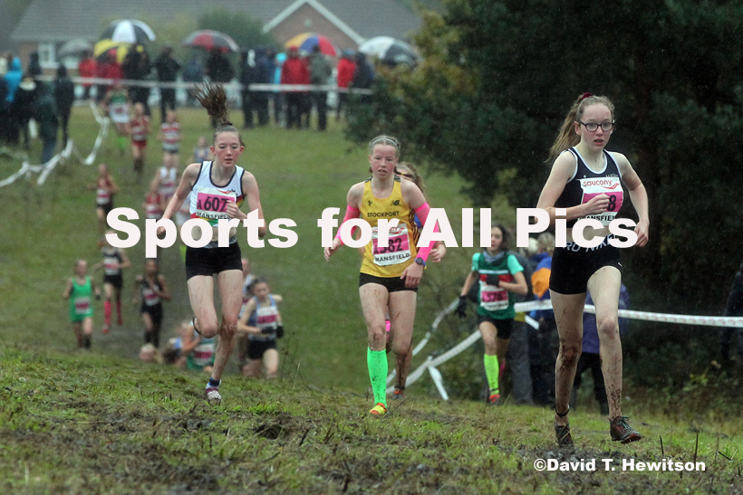 Girls under-13s, National Cross Country Relay Champs., Berry Hill Park, Mansfield.  Photo: David T. Hewitson/Sports for All Pics